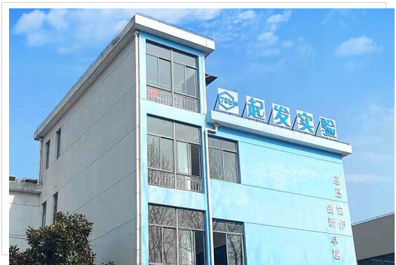 中国丰满熟女A片免费观